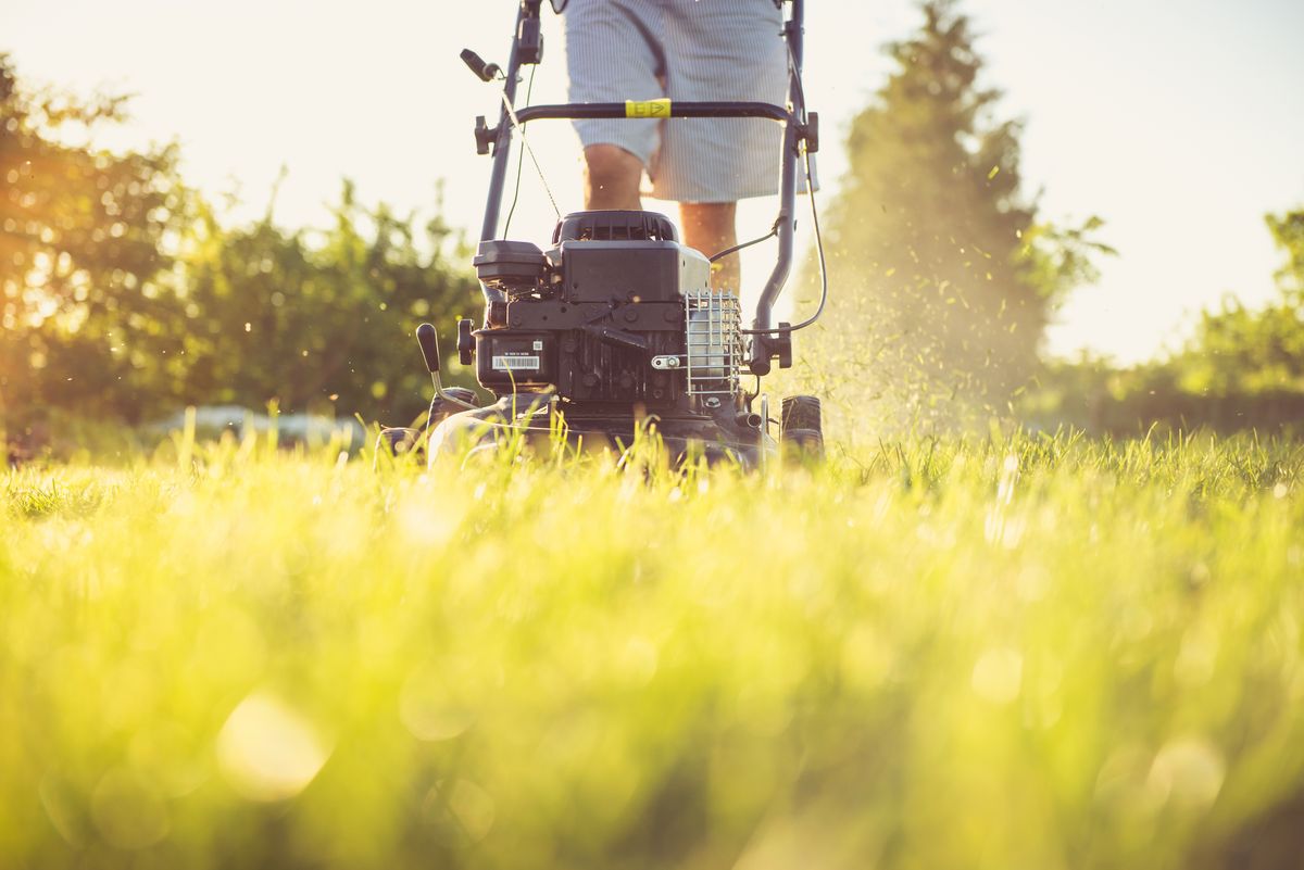 Roçadeira cortando grama em jardim ao entardecer